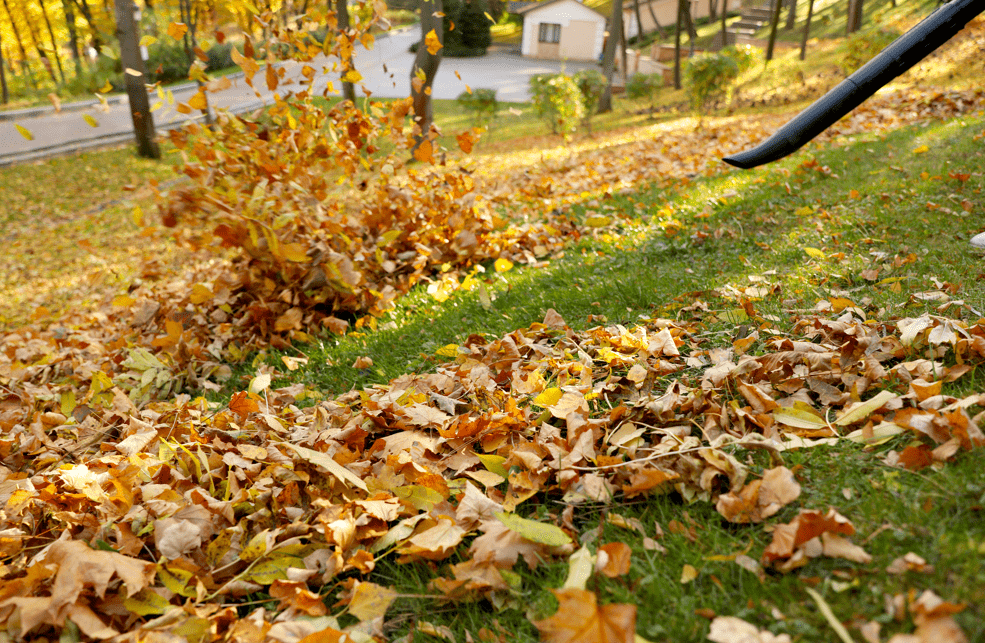 leaf blower