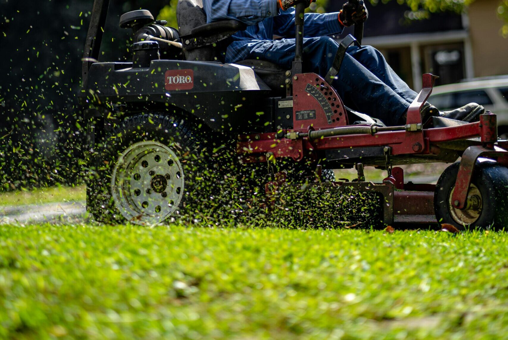 Person on a lawn mower cutting grass in a sunny, green park.
