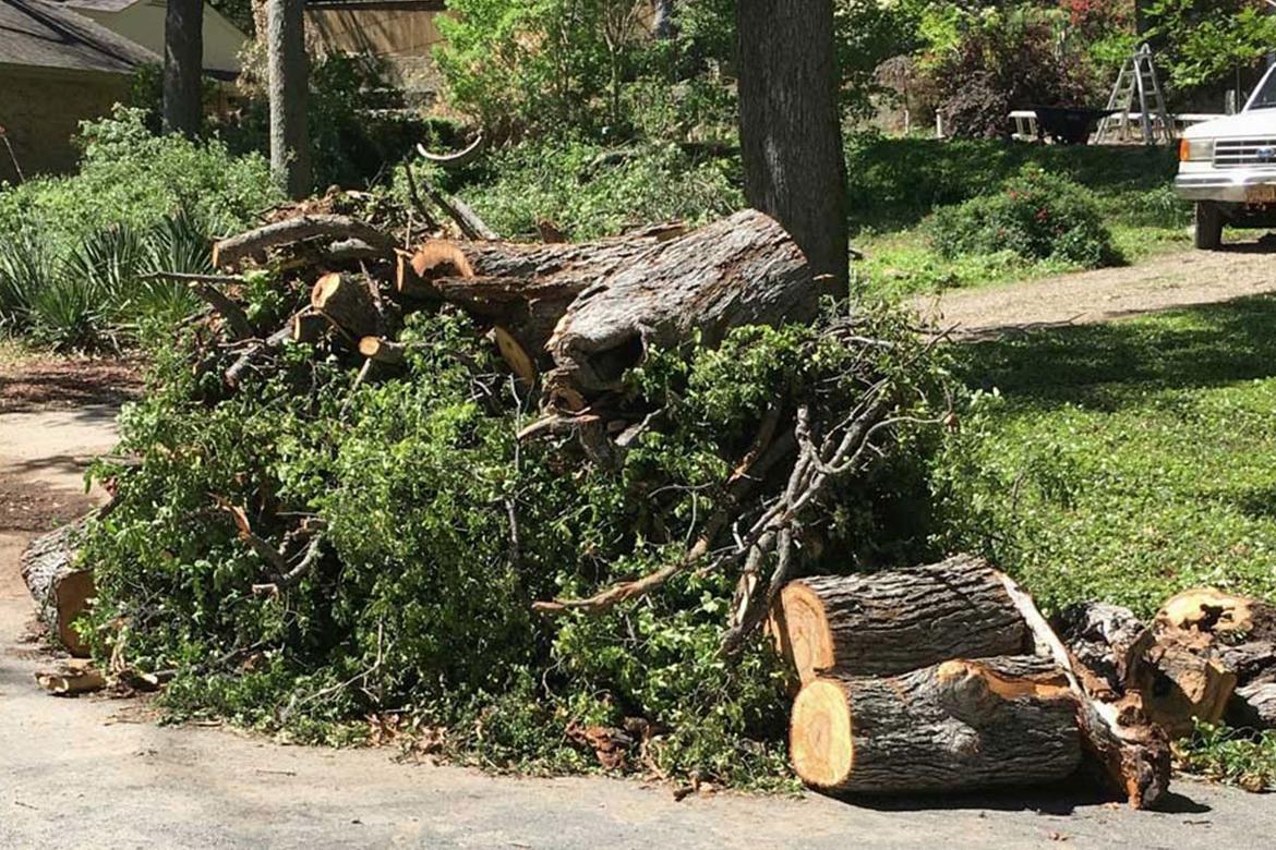 yard debris limbs e1561403662612