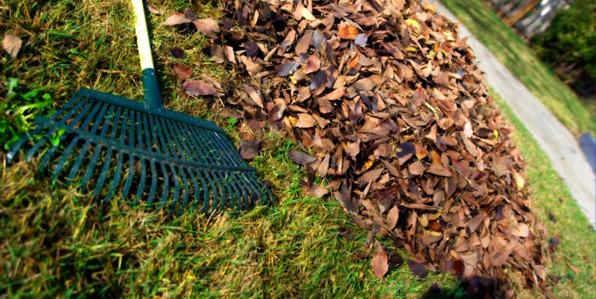 yard waste